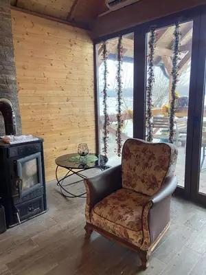a living room with a chair and a stove at Bird of Paradise in Belgrade