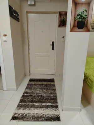 a hallway with a white door and a rug at Apartman PRAMAC in Belgrade