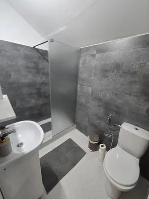 a bathroom with a toilet and a sink at Stari Vuk in Belgrade