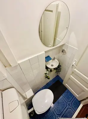 a bathroom with a white toilet and a mirror at Skadarlija Retro Charming Apartment in Belgrade