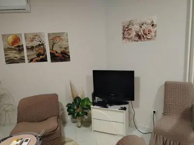 a living room with two chairs and a flat screen tv at PRAMAC - stan na dan in Belgrade