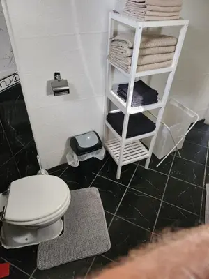 a bathroom with a toilet and a shelf with towels at Spa Apartment Family Belgrad in Brestovik