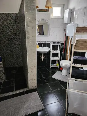 a bathroom with a sink and a toilet at Spa Apartment Family Belgrad in Brestovik