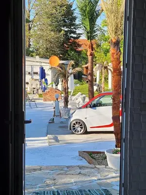 a white car parked on a street with palm trees at Spa Apartment Family Belgrad in Brestovik