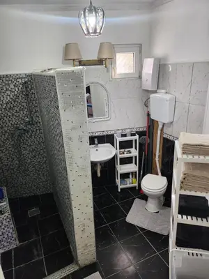a bathroom with a toilet and a sink at Spa Apartment Family Belgrad in Brestovik