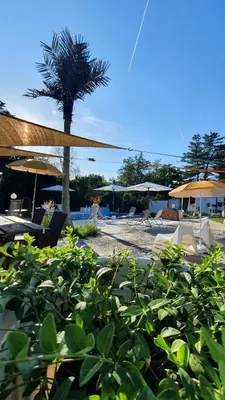 a resort with a palm tree and chairs and umbrellas at Spa Apartment Family Belgrad in Brestovik