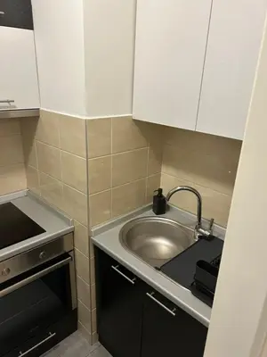 a small kitchen with a sink and a sink at Apartment Premier 3 Belville in Belgrade