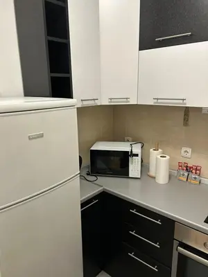 a kitchen with a white refrigerator and a microwave at Apartment Premier 3 Belville in Belgrade
