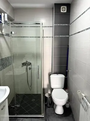 a bathroom with a toilet and a glass shower at Lovely modern 1-bedroom with balcony in Obrenovac