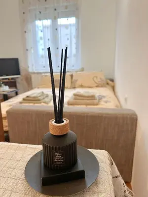 a vase with sticks in it on a table with two beds at Orhideja in Belgrade