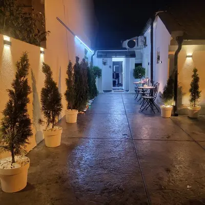 a hallway with potted trees and a table and lights at Jovanovic Residence Belgrad in Belgrade