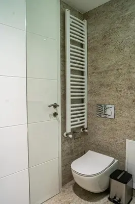 a bathroom with a white toilet and a window at Brilijant Lux Apartman in Arandjelovac