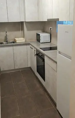 a kitchen with a white refrigerator and a sink at Arena Lux apartment in Belgrade