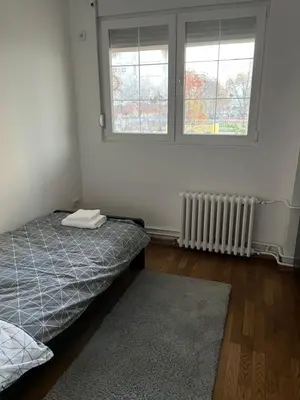 a bedroom with a bed and two windows and a rug at Costa apt 3 bedrooms Ideal for Groups Near Arena in Belgrade