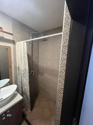 a bathroom with a shower and a sink at Costa apt 3 bedrooms Ideal for Groups Near Arena in Belgrade