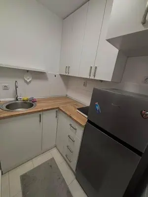a small kitchen with a black refrigerator and a sink at Apartman Tara2 in Belgrade