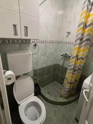 a bathroom with a toilet and a shower at Apartman Tara2 in Belgrade