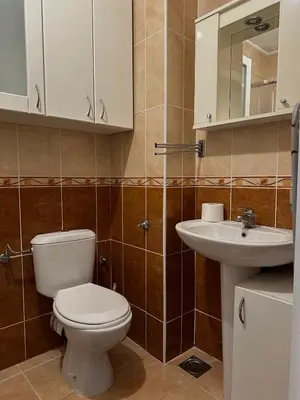 a bathroom with a toilet and a sink at Apartman Tara1 in Belgrade