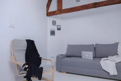a cat sitting in a chair next to a couch at Charming attic in the heart of the city in Belgrade