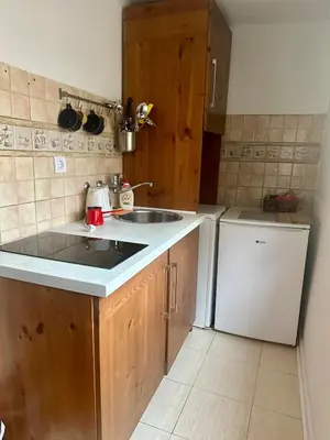 a small kitchen with a sink and a dishwasher at Historic Charm Peaceful and Cozy in Belgrade