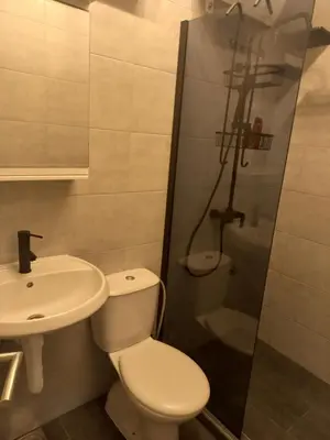 a bathroom with a toilet and a sink and a shower at Urban Panorama in Belgrade