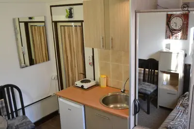 a small kitchen with a sink and a refrigerator at Studio Apartman Grof in Belgrade