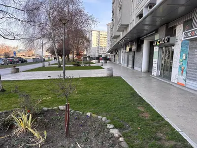 a small tree in the grass in front of a building at Belvil Belgrade in Belgrade