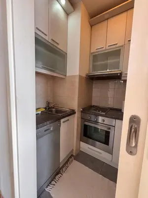 a small kitchen with a sink and a stove at Belvil Belgrade in Belgrade