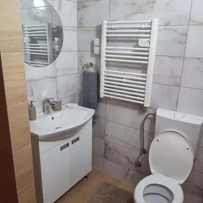 a bathroom with a toilet and a sink and a mirror at Sarina Garsonjera in Arandjelovac