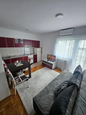 a living room with a couch and a kitchen at Apartman daba 1 in Belgrade