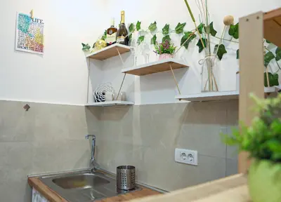 a kitchen with a sink and shelves with plants at Boho-Style Apartment in the city center in Belgrade