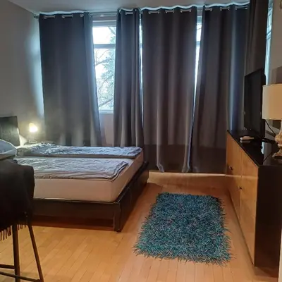 a bedroom with a bed and a window with a rug at Lola 2 in Belgrade