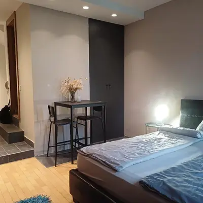 a bedroom with a bed and a table with chairs at Lola 2 in Belgrade