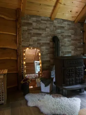a room with a wood stove and a mirror at Zonamita house in Velika Remeta