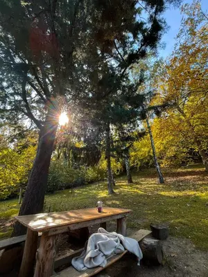 a picnic table under a tree in a park at Zonamita house in Velika Remeta