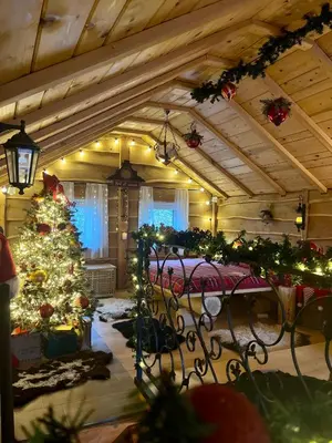 a living room with a christmas tree in a room at Zonamita house in Velika Remeta
