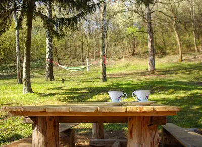 a wooden table with two cups on top of it at Zonamita house in Velika Remeta