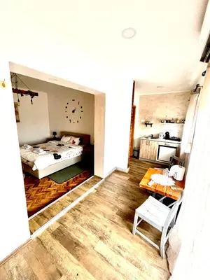 a small room with a bed and a kitchen at Royal castle Fruska gora in Prnjavor