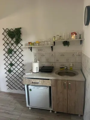 a kitchen with a sink and a counter top at Royal castle Fruska gora in Prnjavor