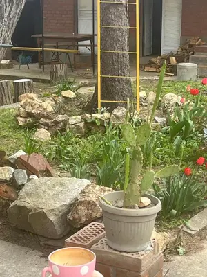 a plant in a pot sitting in a garden at Royal castle Fruska gora in Prnjavor