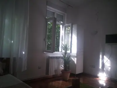 a room with a potted plant and a window at Cricket 2 Hostel in Belgrade