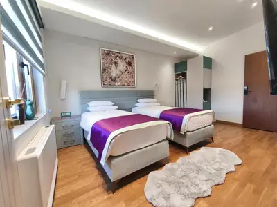 a bedroom with two beds and a rug at Muzej Accommodation in Repnica