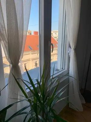 a plant sitting in front of a window with curtains at City Centre Apartment 3 in Belgrade