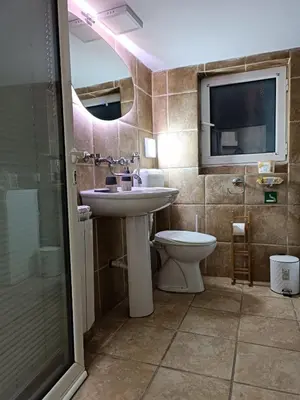 a bathroom with a sink and a toilet at Rustic central in Belgrade