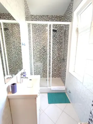 a bathroom with a shower and a sink at 12 Beds 4 Baths 2 Renovated Apts 2nd & 3rd Flr in Belgrade