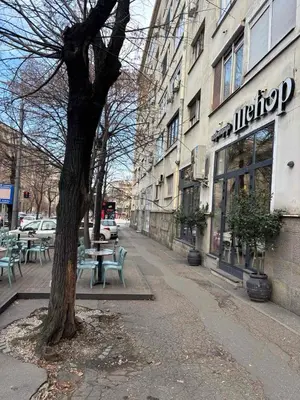 a tree on a sidewalk next to a building at Apartman Knez Miloš in Belgrade