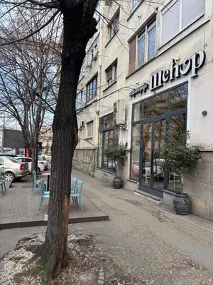 a tree in front of a store on a street at Apartman Miloš in Belgrade