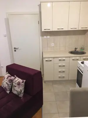 a living room with a couch and a kitchen with a sink at Apartman Zira in Belgrade