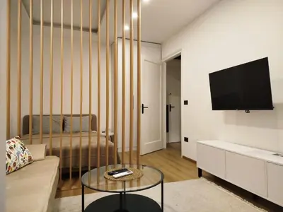 a living room with a couch and a tv at Grujo Apartment in Belgrade