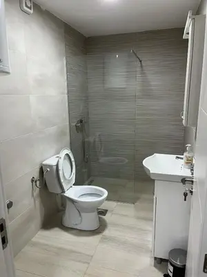 a bathroom with a toilet and a shower and a sink at Mimura stan in Belgrade